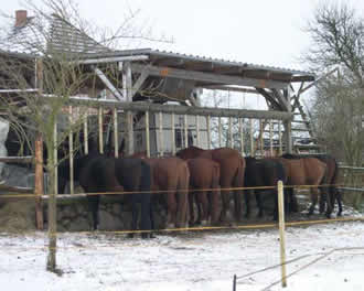 Winterf&uuml;tterung