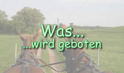 Was geboten wird...