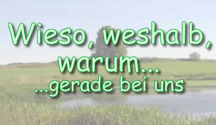 Wieso, weshalb, warum...